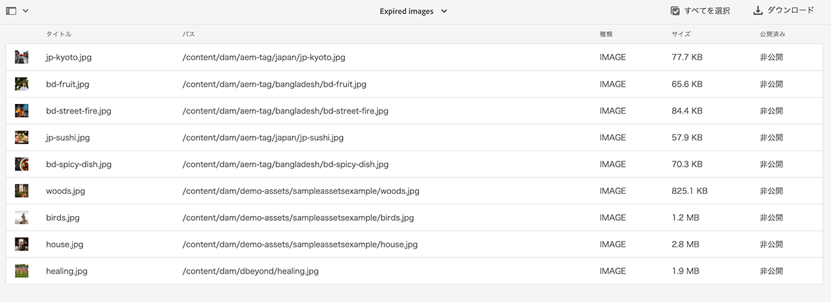 画面キャプチャ:AEMアセット管理画面で、レポート検索結果