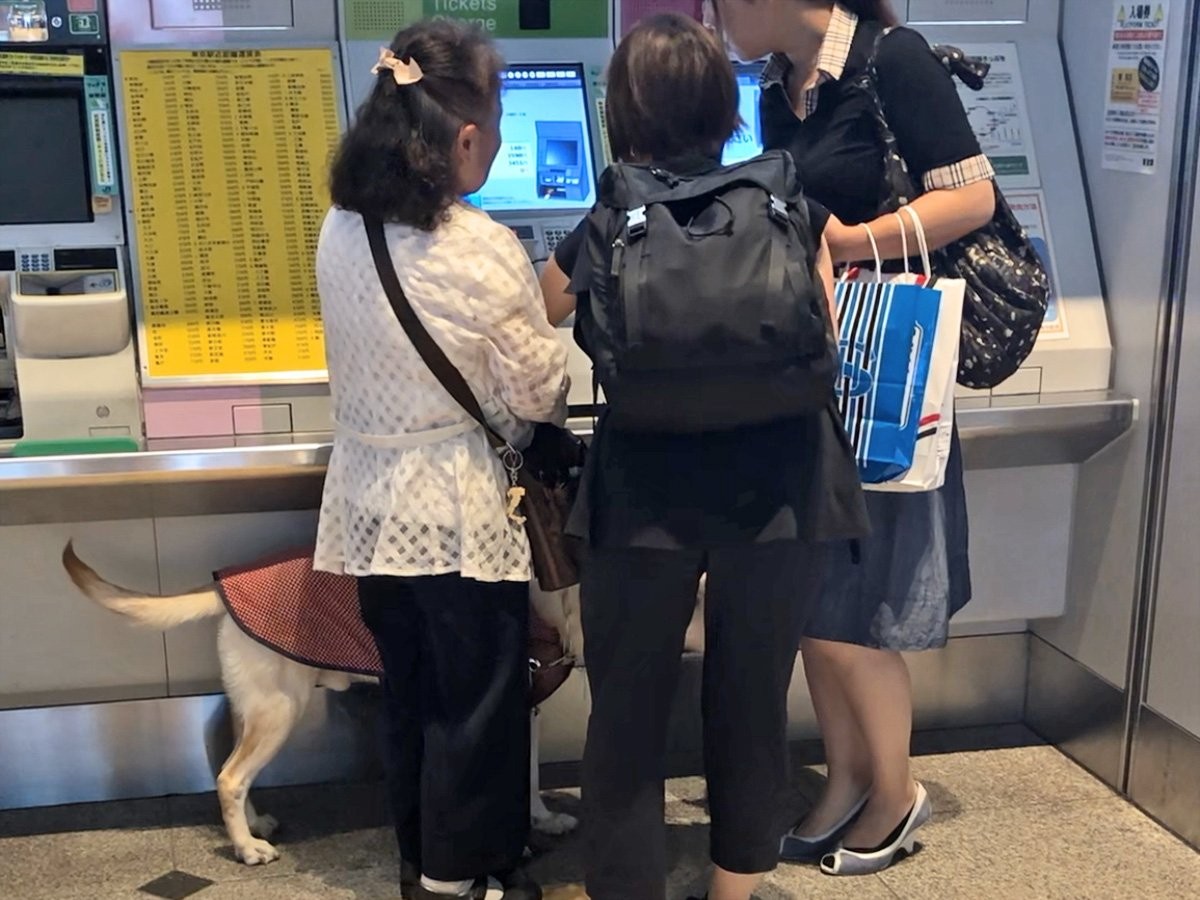 写真:駅の改札で切符を購入している、盲導犬を連れた女性