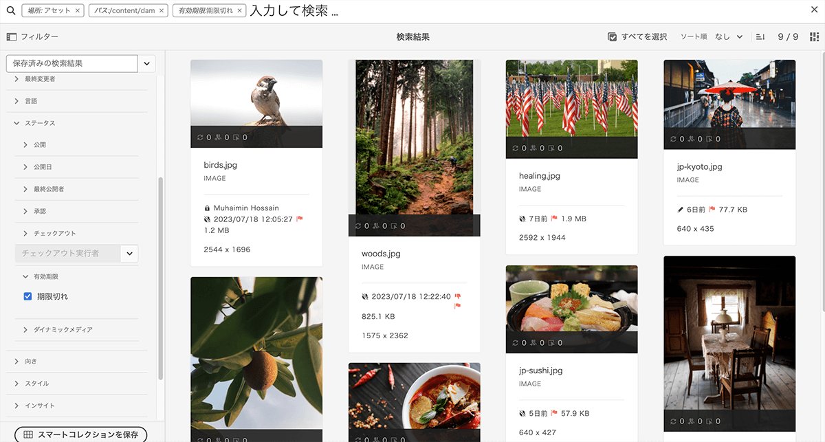 画面キャプチャ:AEMアセット管理画面で、有効期限の「期限切れ」ステータスを絞り込んだ検索結果